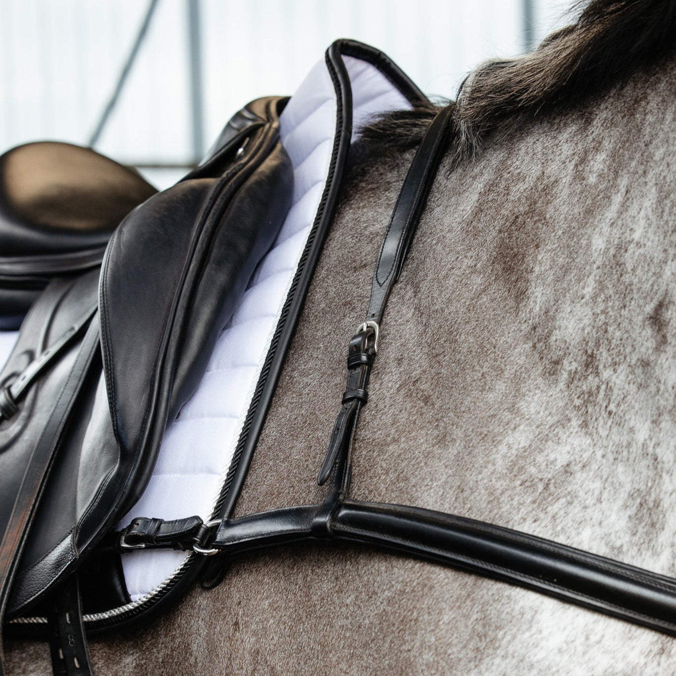The Elegance Saddle Pad – Inspired by Chanel