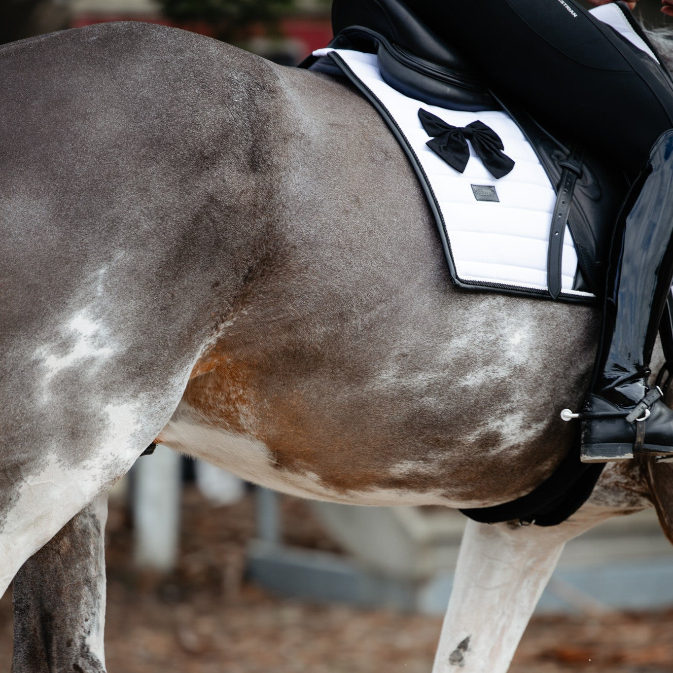 The Elegance Saddle Pad – Inspired by Chanel