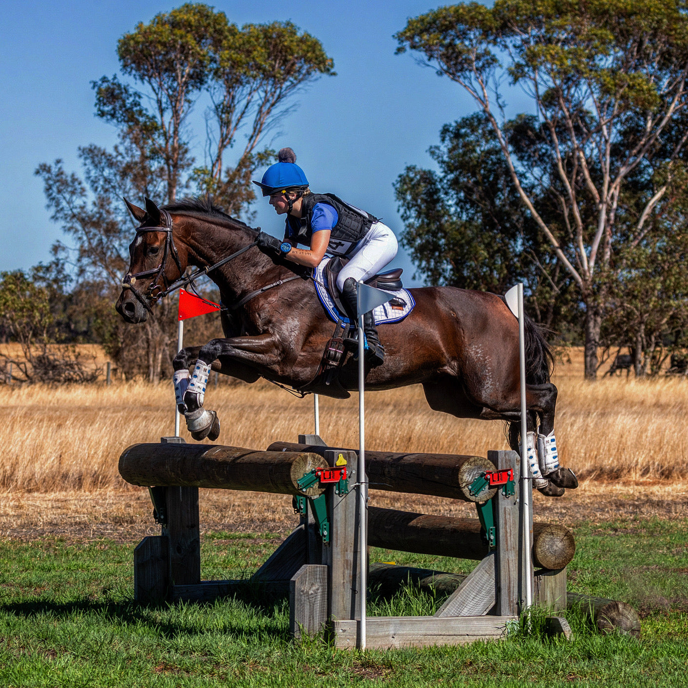 Custom Saddle Pad