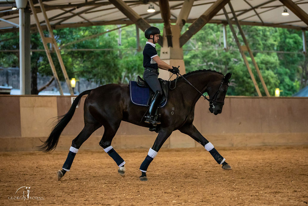 Navy Classic Bamboo Saddle Pad