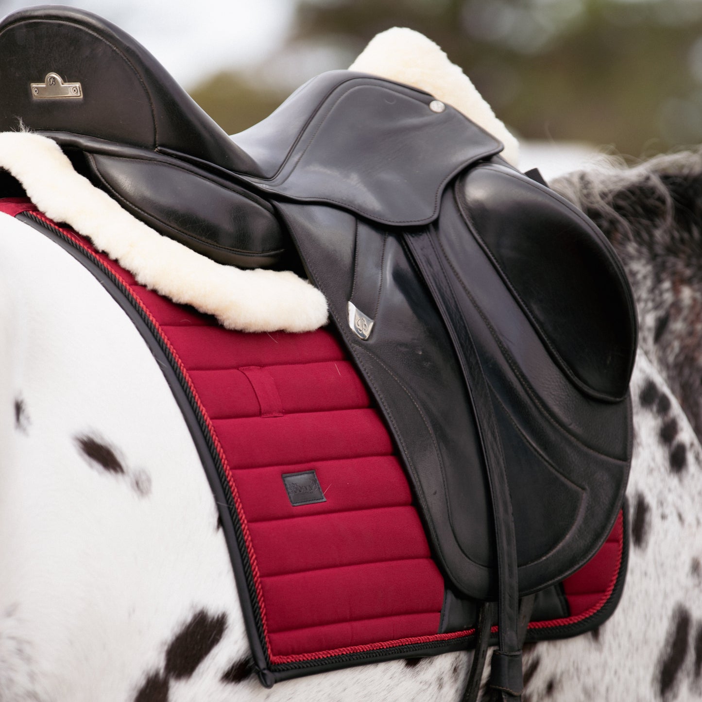The Bellissima Saddle Pad – Inspired by Louboutin