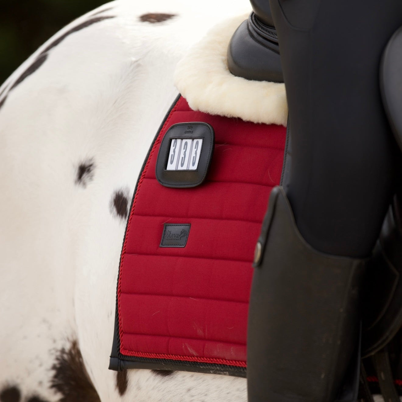 The Bellissima Saddle Pad – Inspired by Louboutin