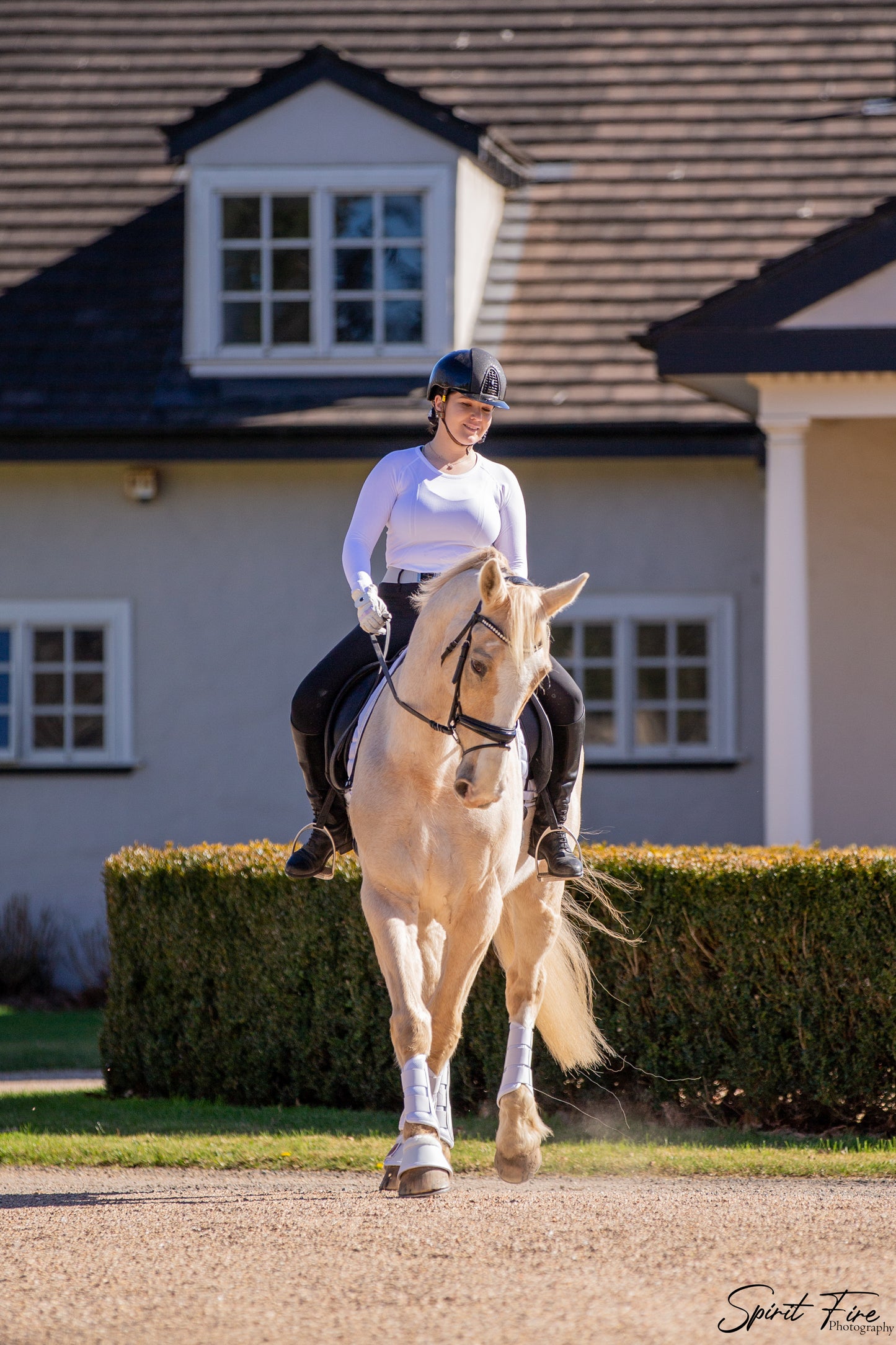 Isabella Patent Dressage Bridle