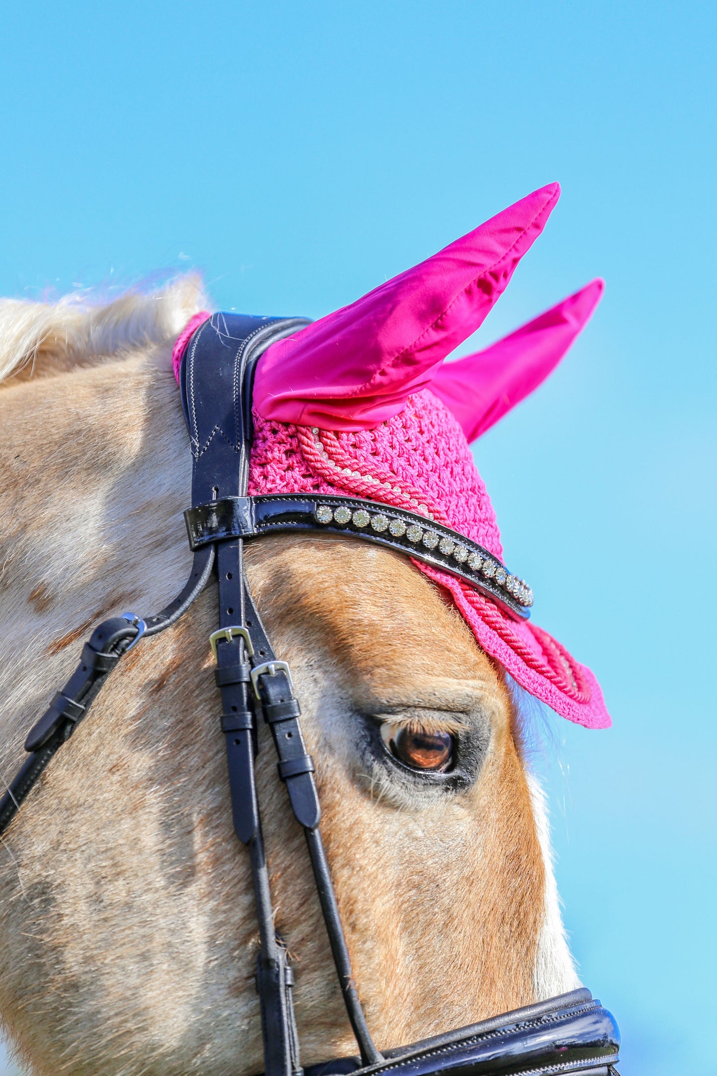 Hot Pink Bonnet