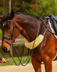 ROM breastplate