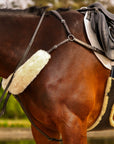 ROM breastplate