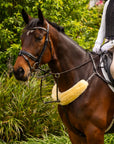 ROM breastplate