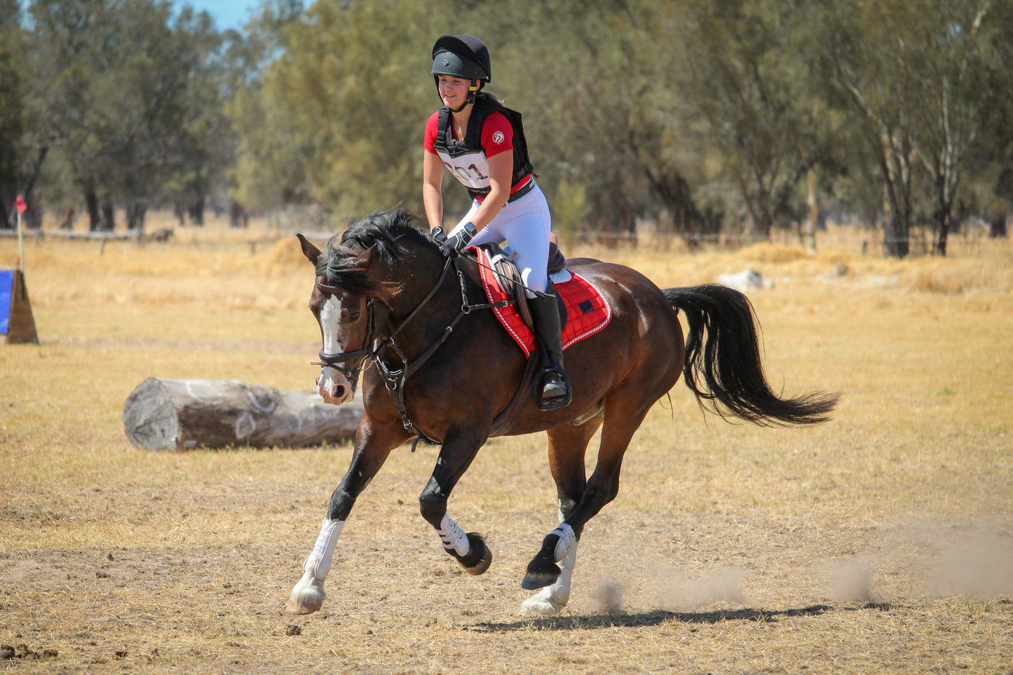 Candy Cane Deluxe Satin Saddle Pad