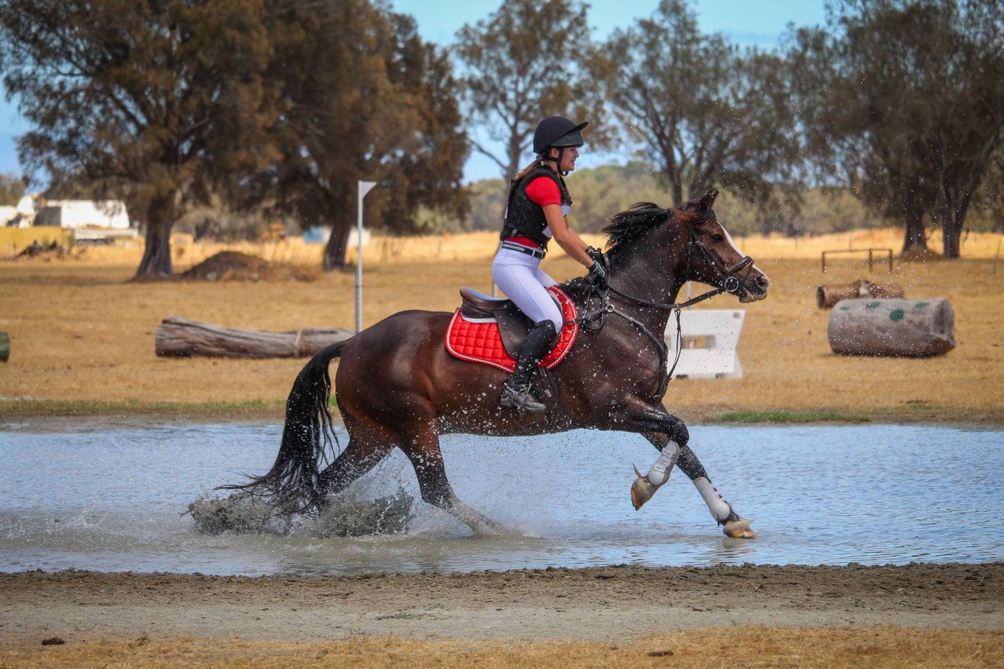 Candy Cane Deluxe Satin Saddle Pad