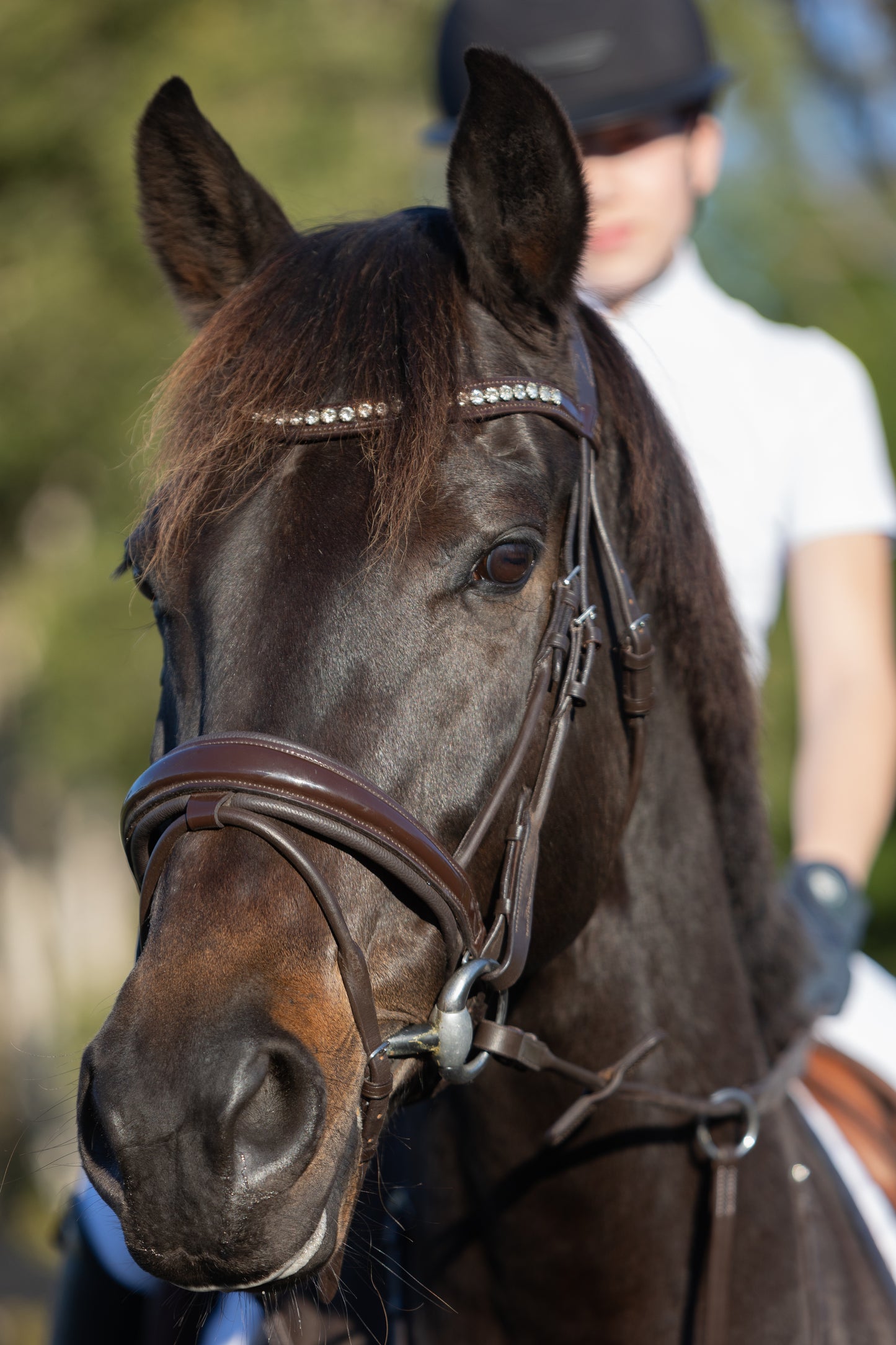 Isabella Patent Dressage Bridle