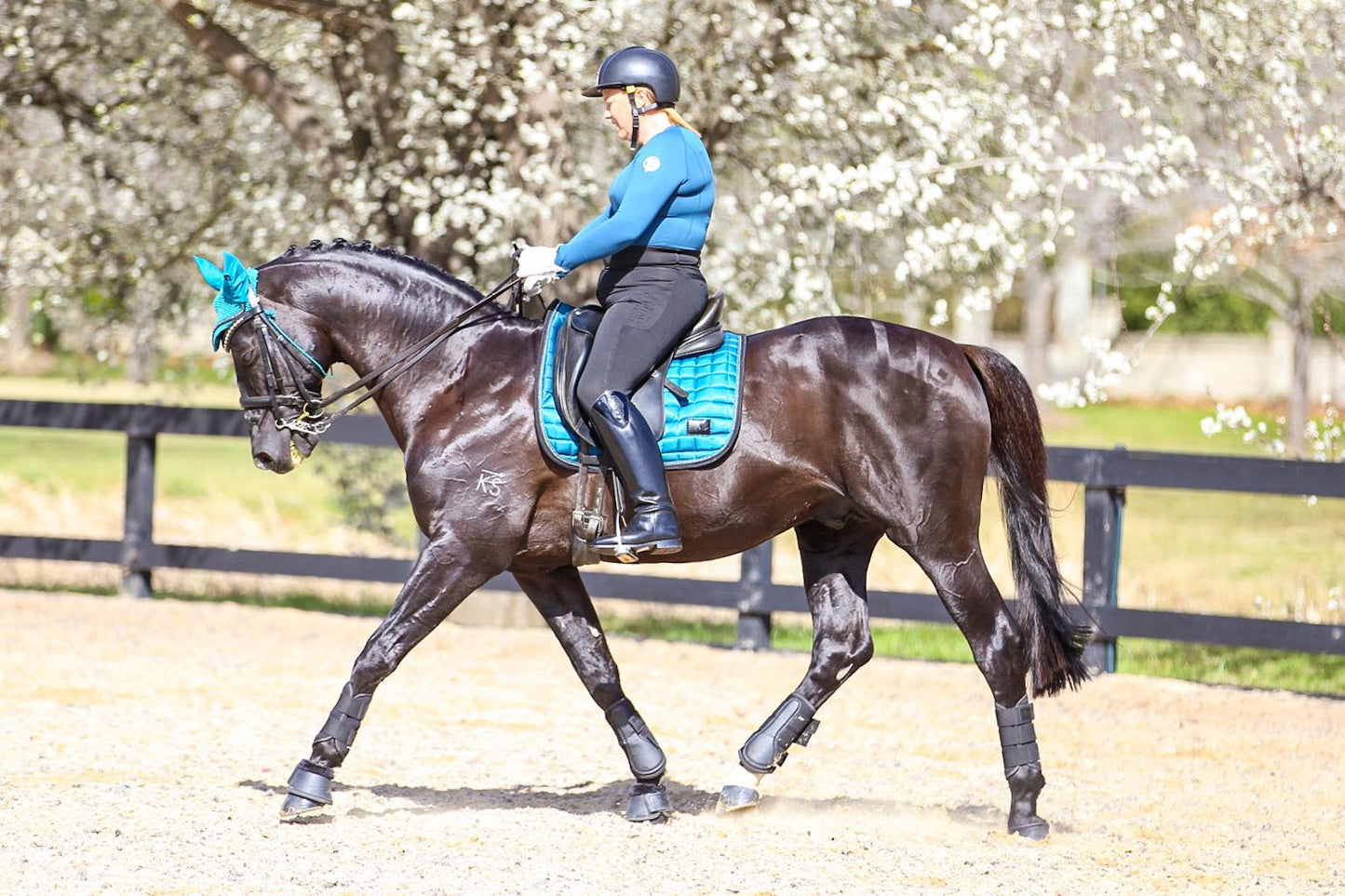 Dark Teal Bonnet