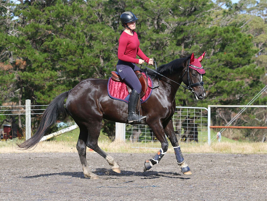 Isabella Patent Dressage Bridle