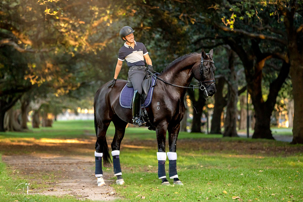 Navy Classic Bamboo Saddle Pad