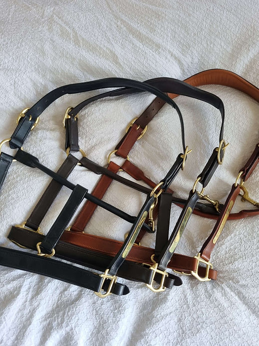 Luxury Leather Halter with Nametag