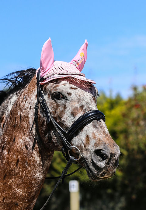 Pink Pearl Browband