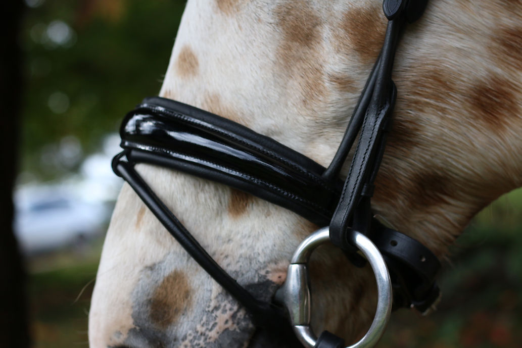 Isabella Patent Dressage Bridle