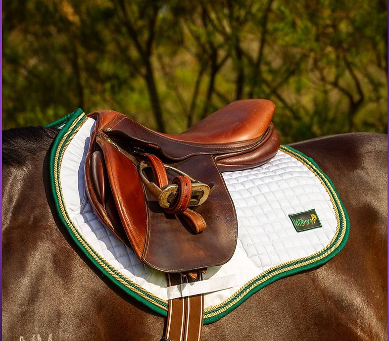 Custom White Saddle Pad
