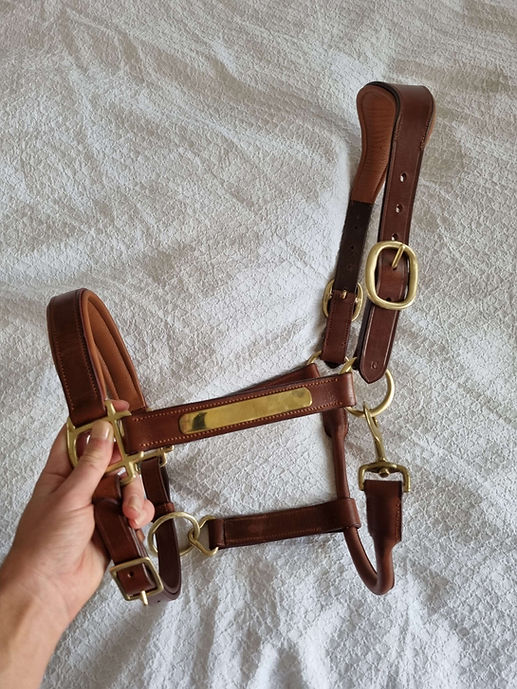 Luxury Leather Halter with Nametag