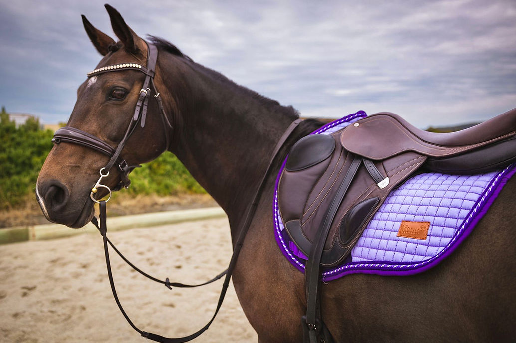 Isabella Patent Dressage Bridle