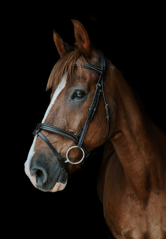 Camille French Bridle
