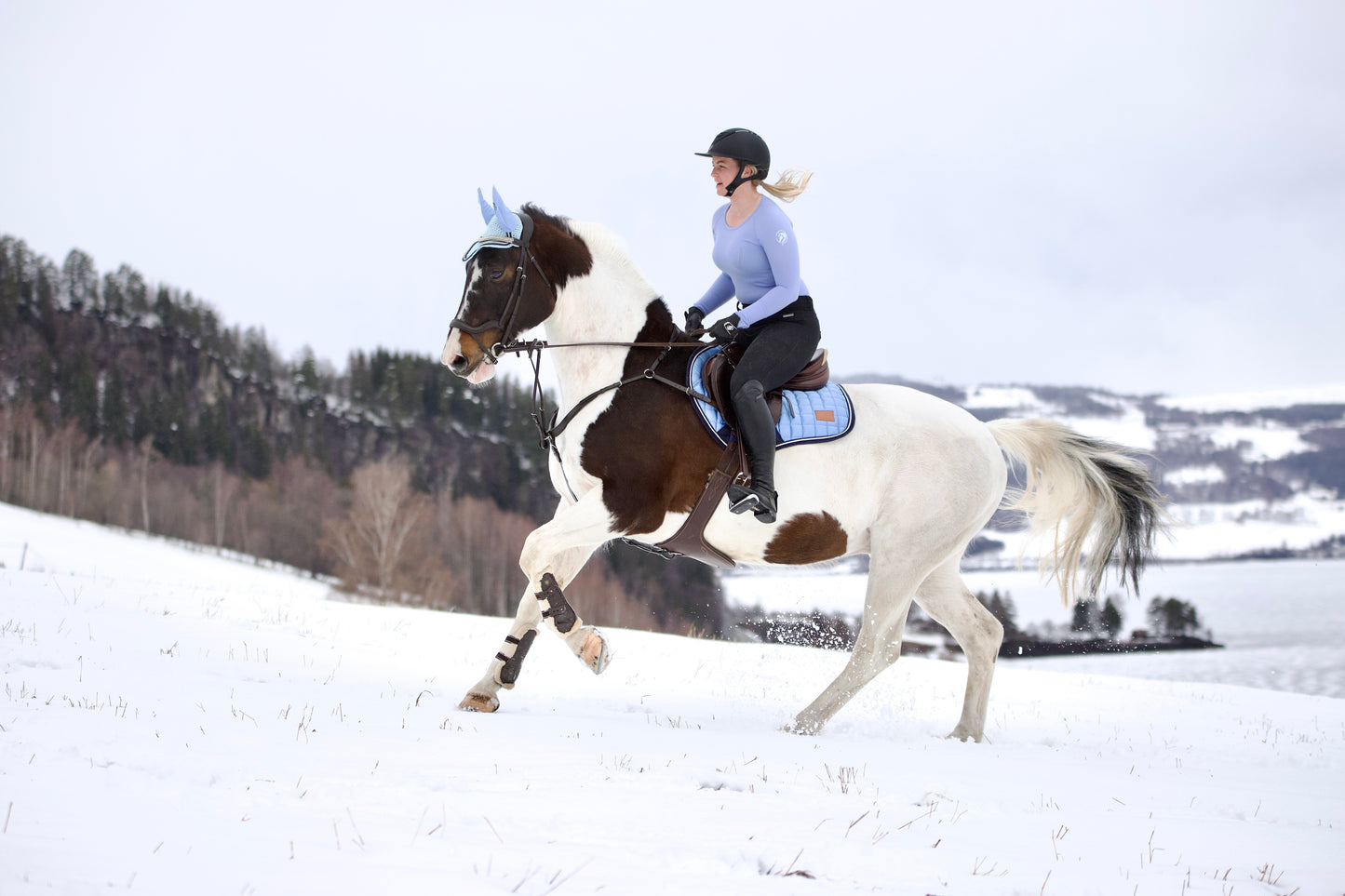 Fearless Frost Saddle Pad