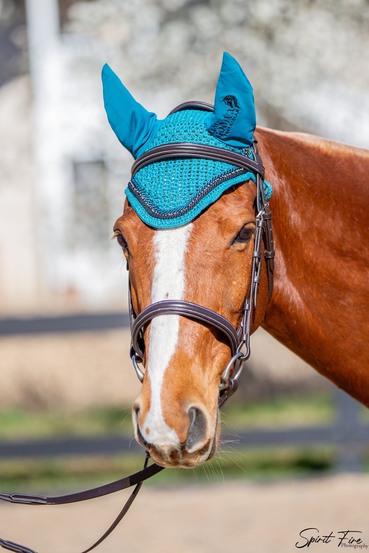 Dark Teal Bonnet