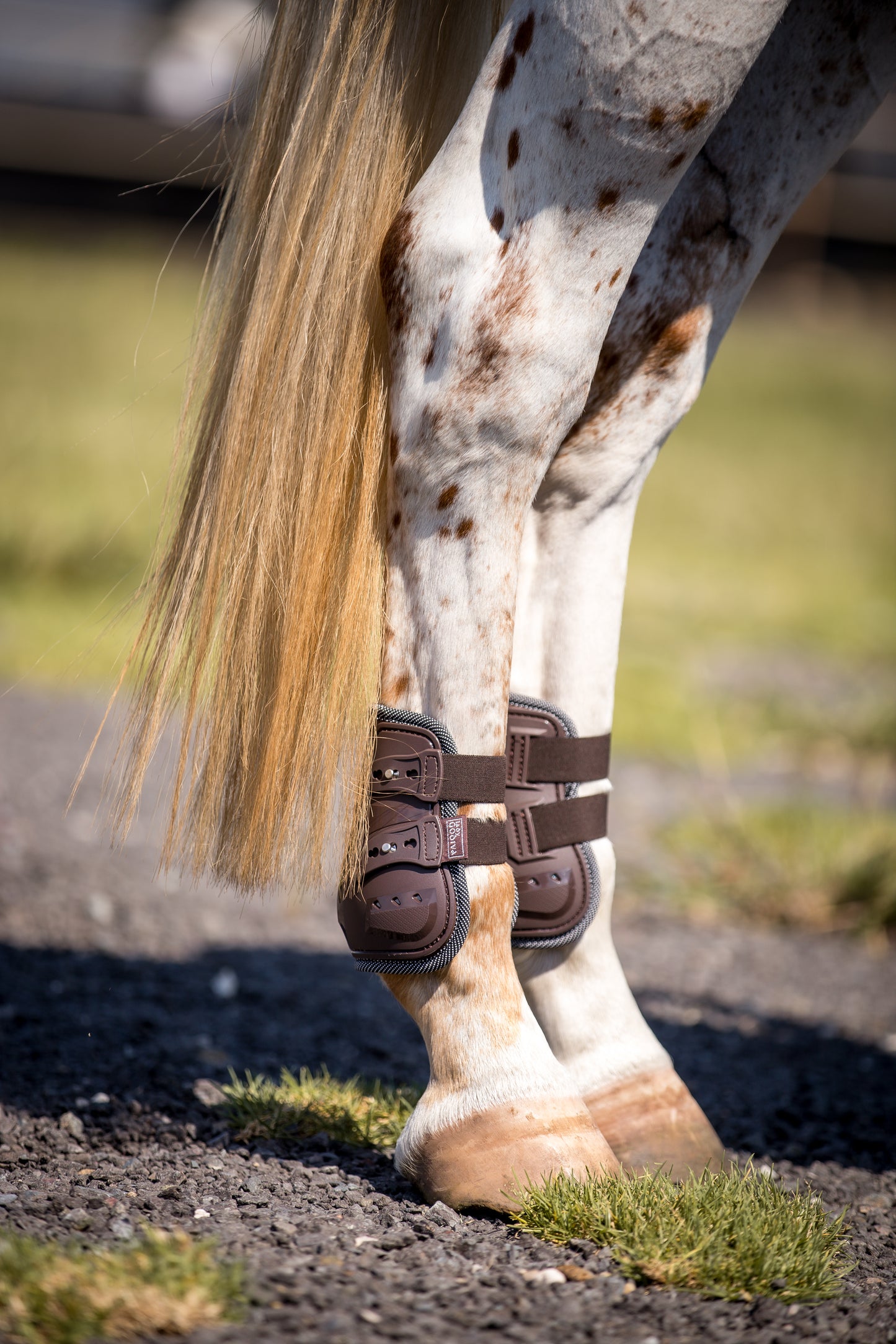 Pro Bamboo Fetlock Boots