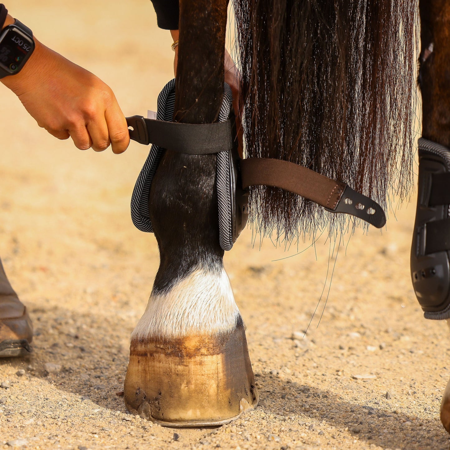 Pro Bamboo Fetlock Boots