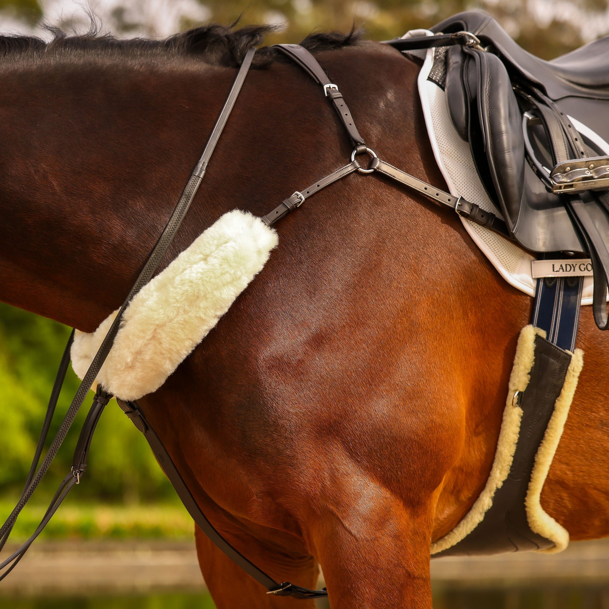 ROM breastplate