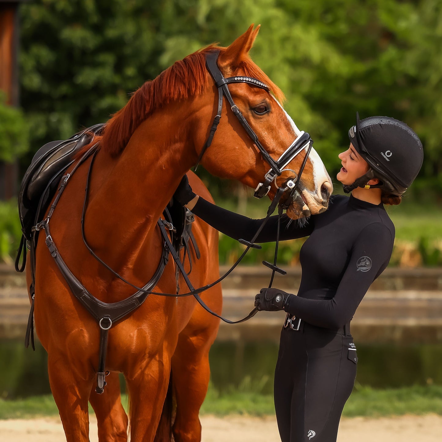 Florence Patent Dressage Bridle