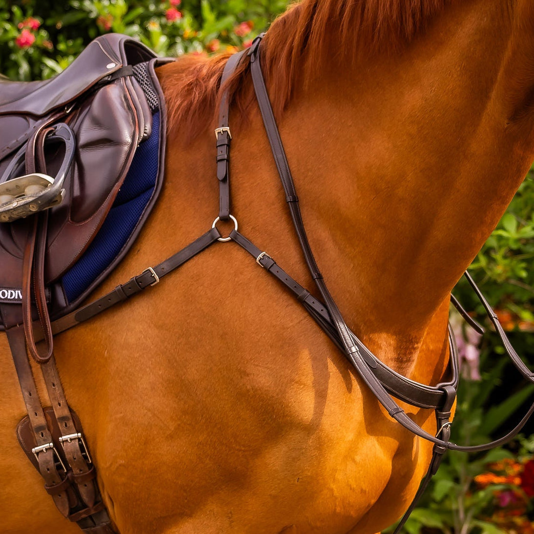 ROM breastplate