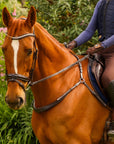 ROM breastplate