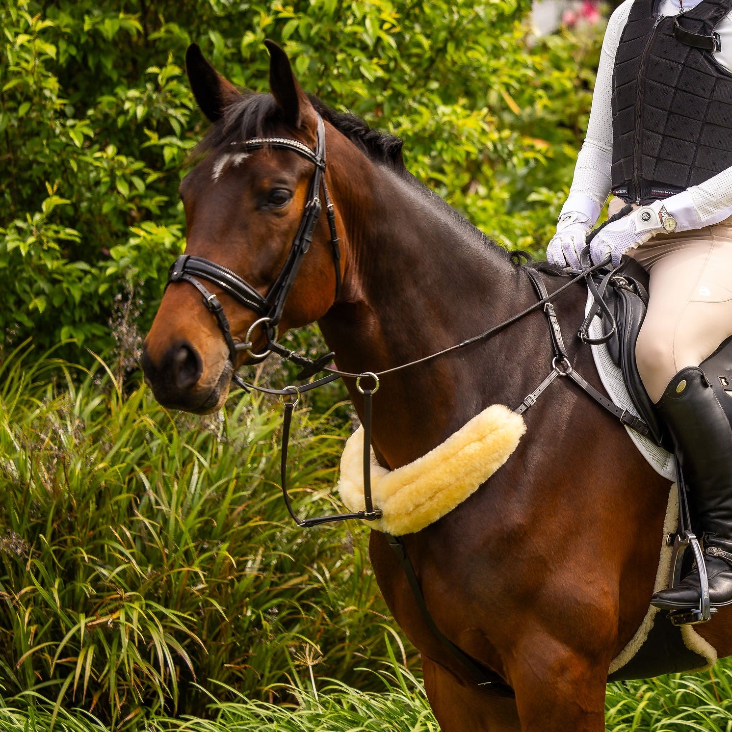 ROM breastplate