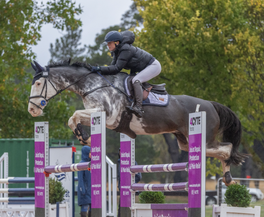 Horse and rider jumping over an obstacle in an equestrian competition