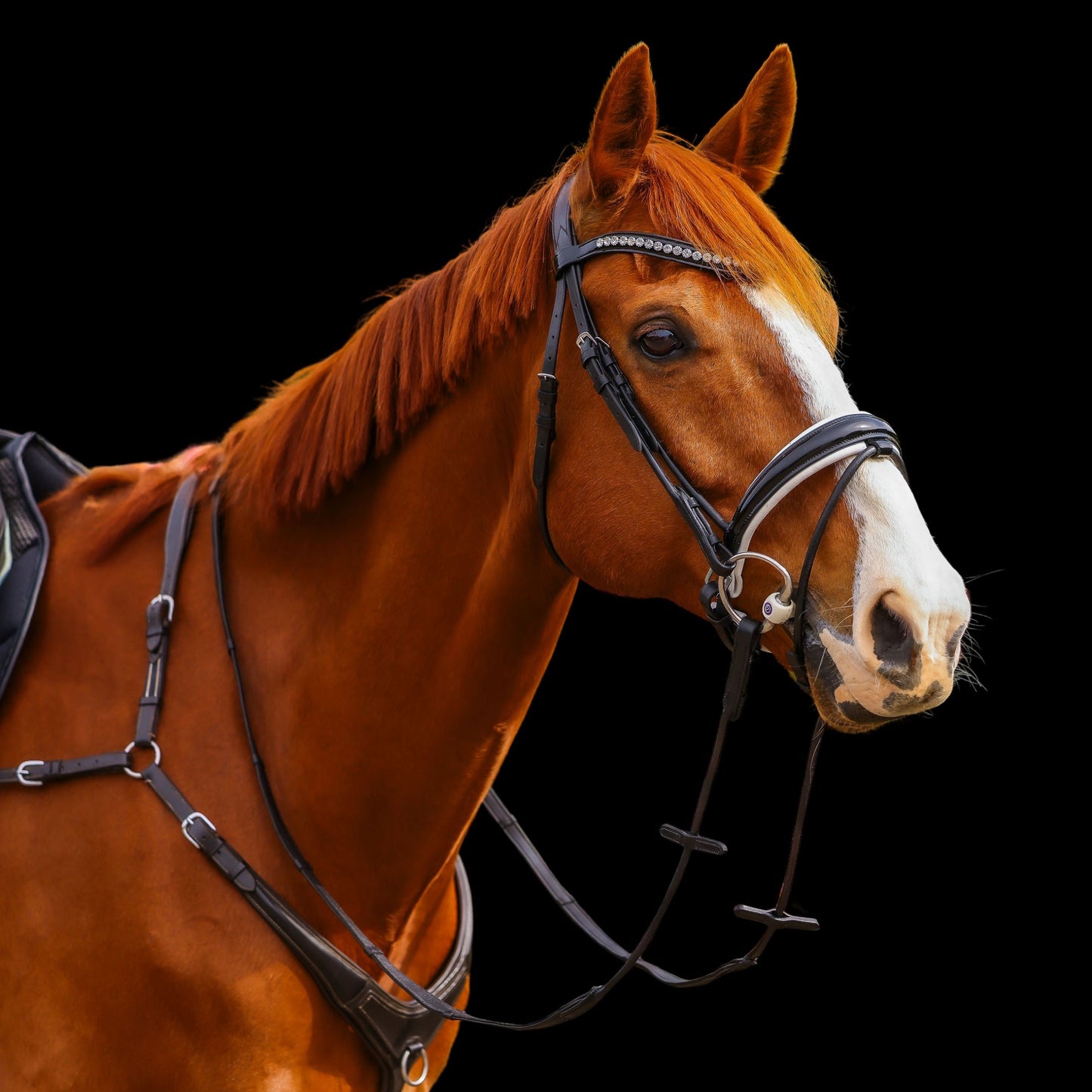 Florence Patent Dressage Bridle