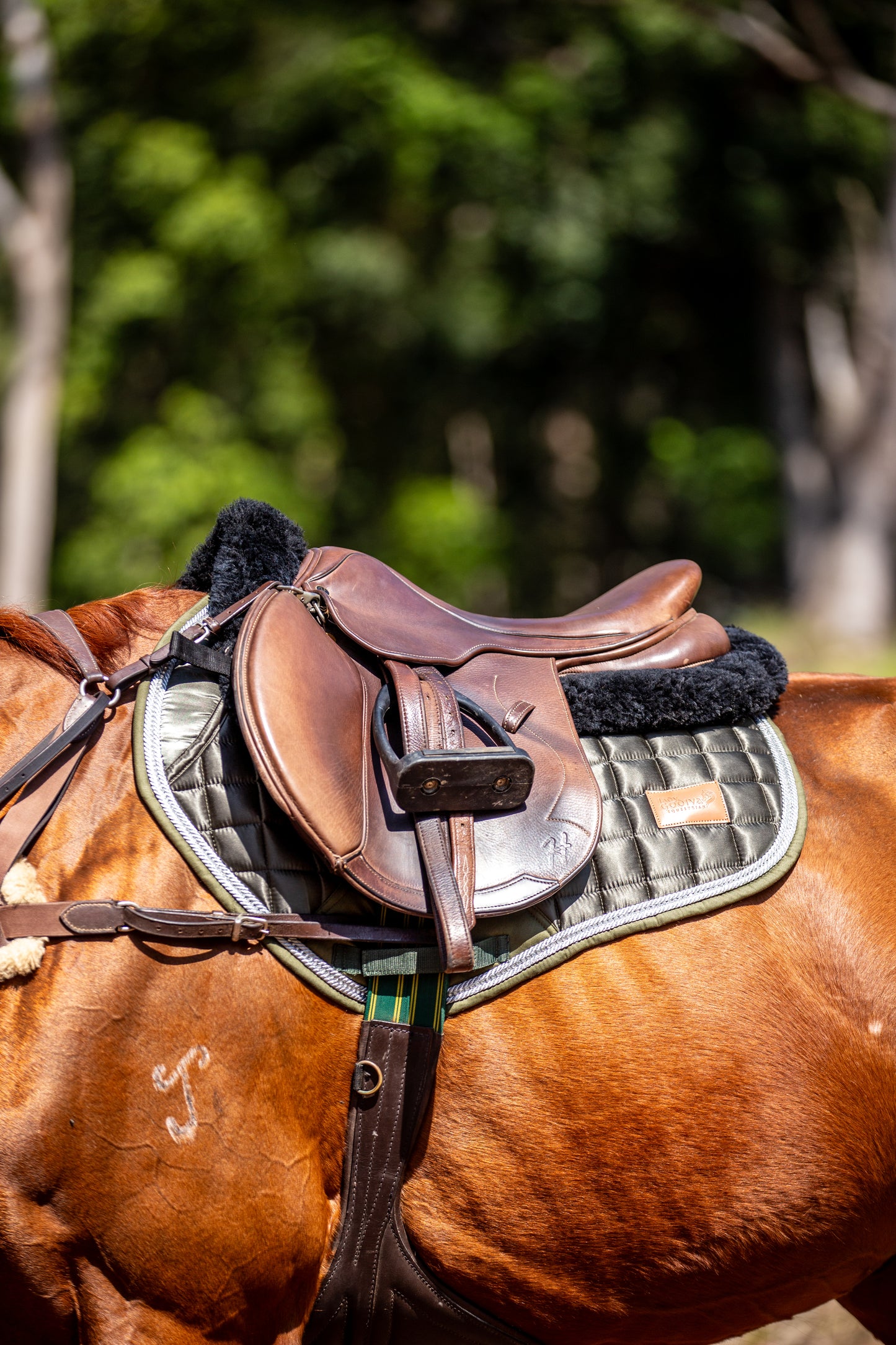 Sage Deluxe Crystal Satin Saddle Pad